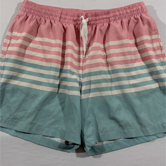 Chubbies Swim Trunks Adult Mens Pink White Blue Stripe Mesh Line 5.5" Shorts XL - Picture 2 of 8